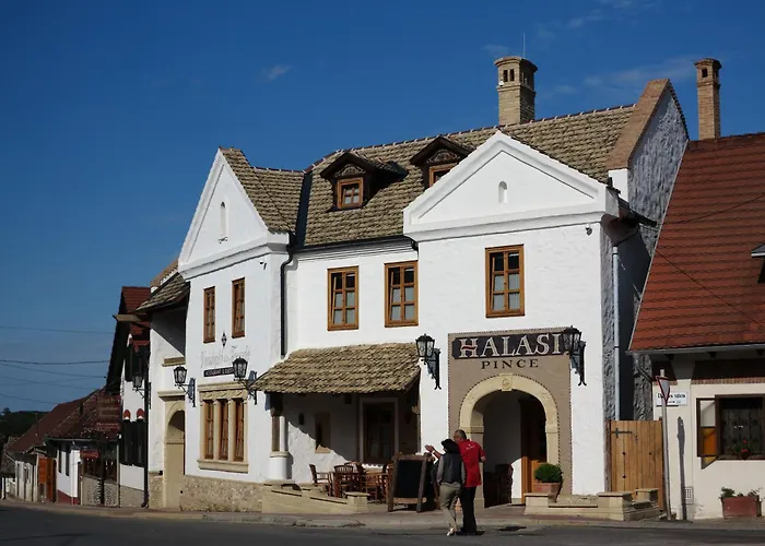 Halasi Pince Panzio